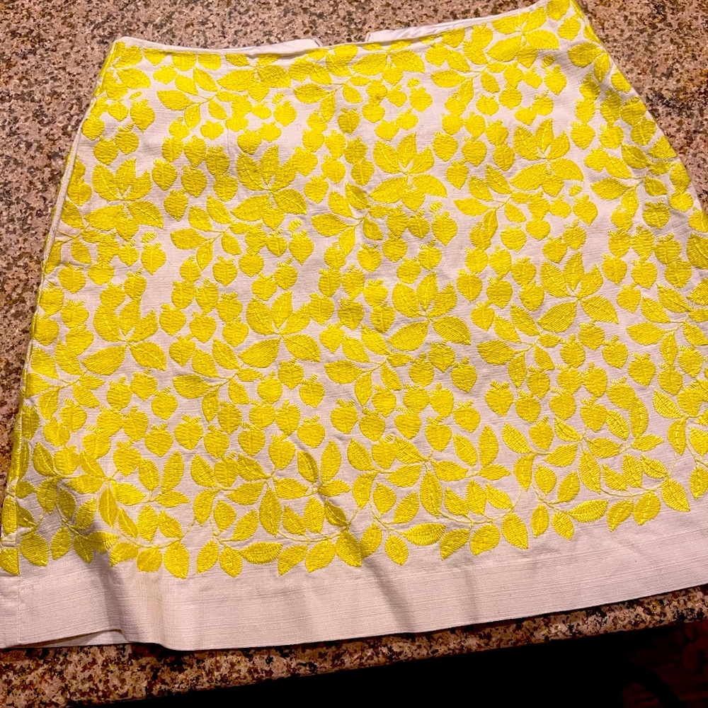 Dress up or down skirt